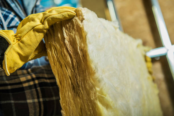 Best Energy-efficient Insulation  in Camden, AR
