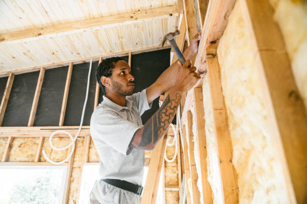 Best Attic Insulation Installation  in Camden, AR